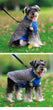 Premium Winter Schnauzer Jacket