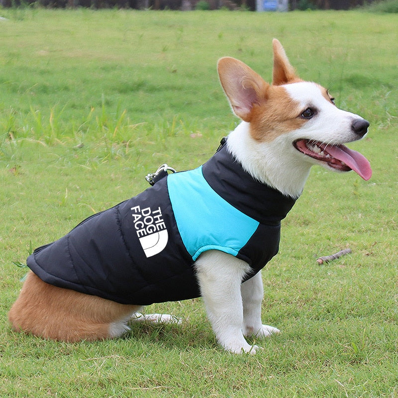 The Dog Face Boxer Dog Jacket