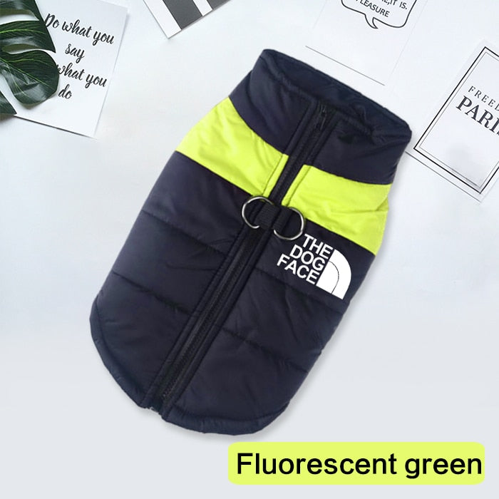 The Dog Face Boxer Dog Jacket