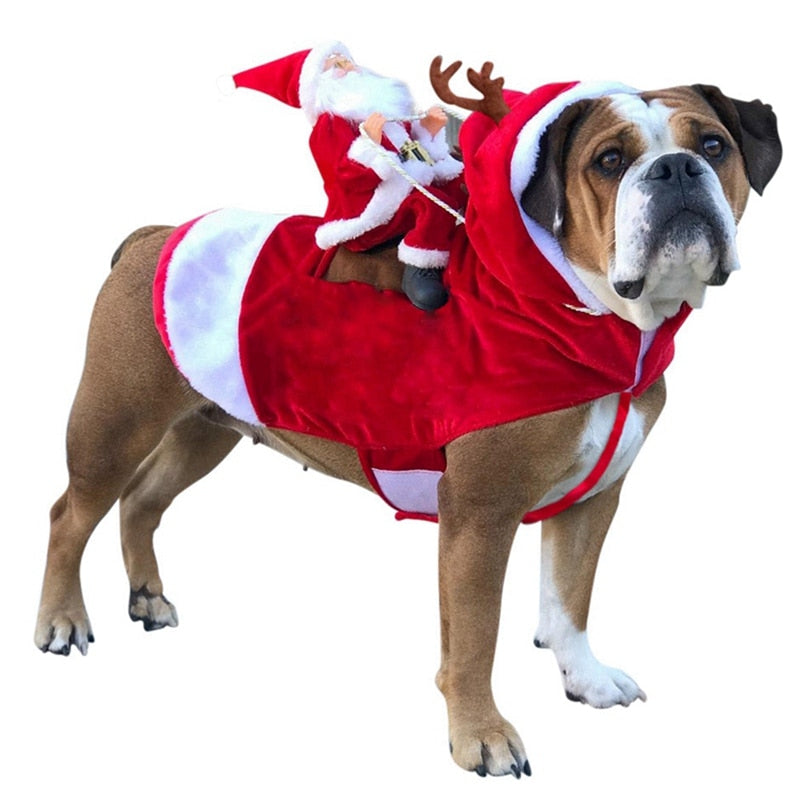 Santa Dog Christmas Costume