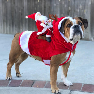 Santa Dog Christmas Costume