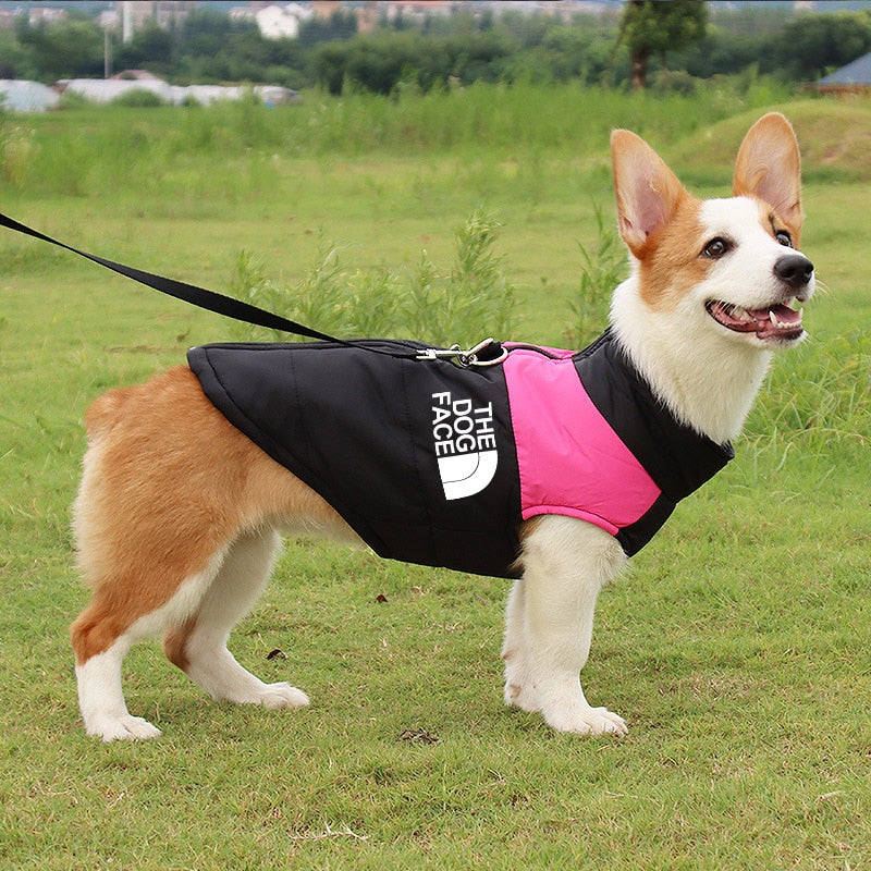 The Dog Face Boxer Dog Jacket