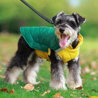 Premium Winter Schnauzer Jacket