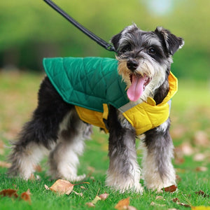 Cory Schnauzer Stuffed Animal Pillow – Ploocy