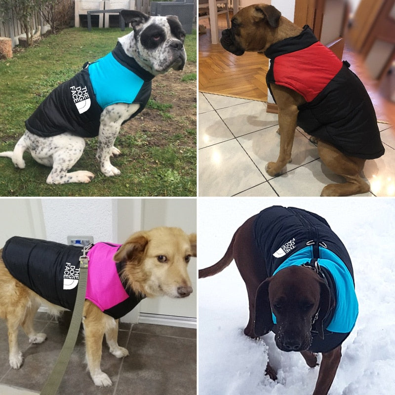 The Dog Face Boxer Dog Jacket