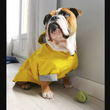 Sporty Dog Raincoat