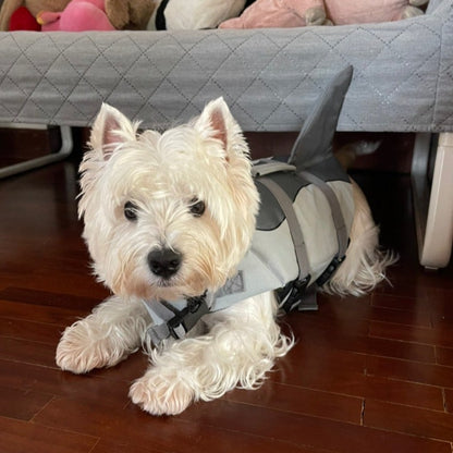 Shark Dog Life Jacket