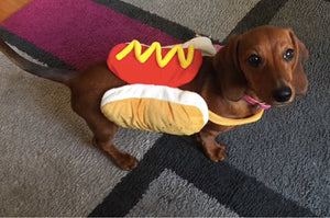 Hot Dog Dachshund Costume