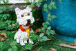 Westie Toy Blocks