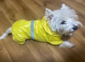 Reflective waterproof dog overall