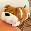 English Bulldog Stuffed Toy
