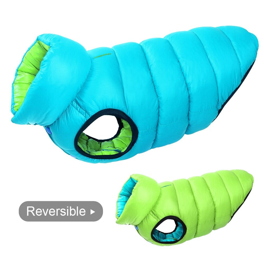 Ace Dog Reversible Winter Jacket
