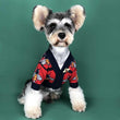 Gucci Dog Sweater