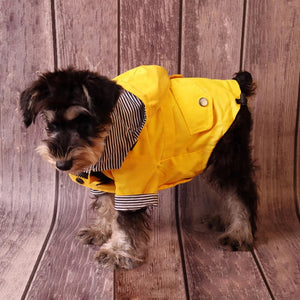 Sporty Dog Raincoat