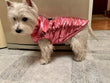 Shiny Dog Jacket