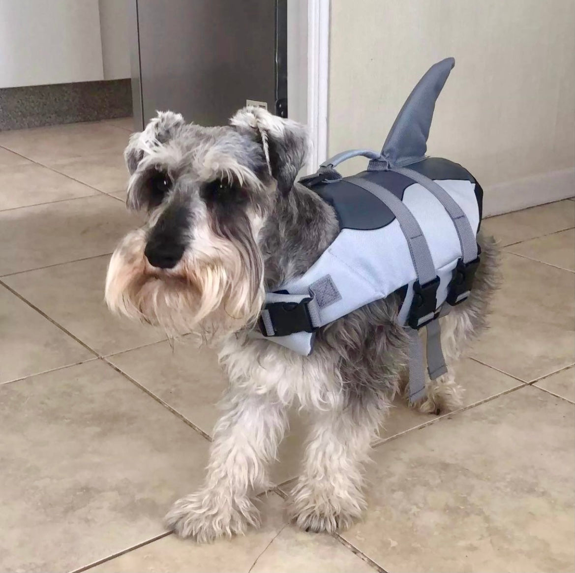 Shark Dog Life Jacket