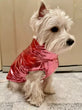 Shiny Dog Jacket