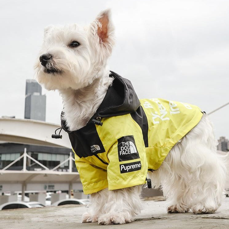 North face dog coat 2025