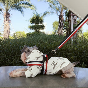 Sport Dog Collar, Harness And Leash