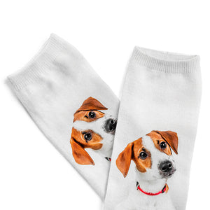 Jack Russell Ankle Socks