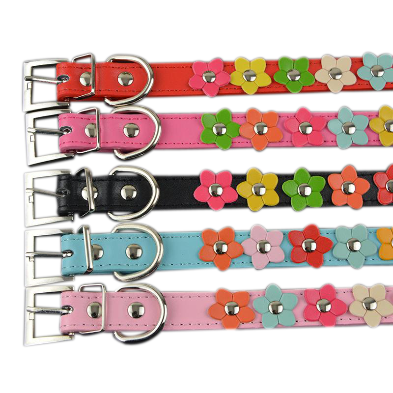 Sarah Flowers Collar + Leash