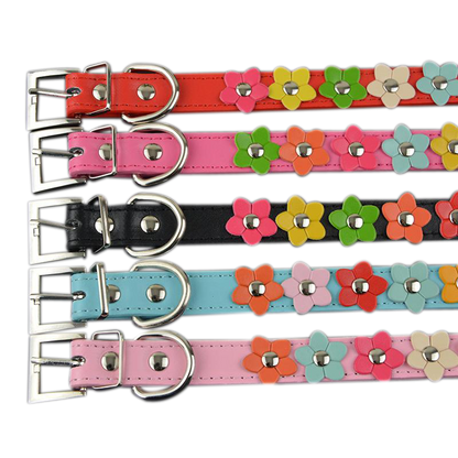 Sarah Flowers Collar + Leash