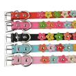Sarah Flowers Collar + Leash
