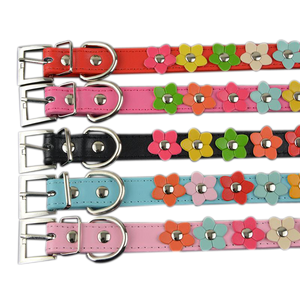 Sarah Flowers Collar + Leash