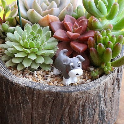 Schnauzer Garden Fairy Set