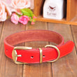 Jody Leather Dog Collar