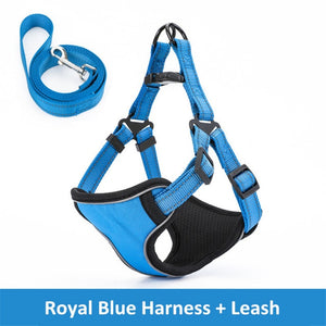 Reflective Dog Harness And Leash Set