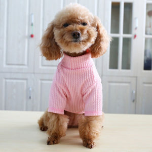 Dog Candy Sweater