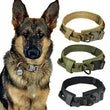 Tactical Dog Collar