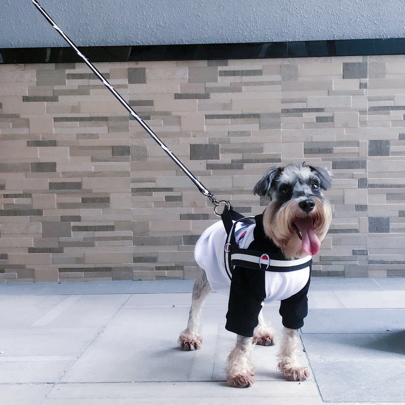 Sport Dog Collar, Harness And Leash