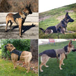 Tactical Dog Harness