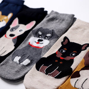 Spike Dog Socks