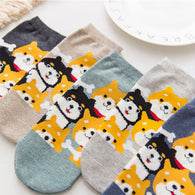 Asami Shiba Inu Socks (5 pairs)