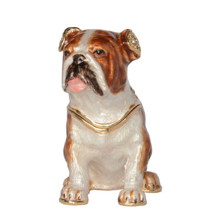 English Bulldog Trinket And Jewelry Box