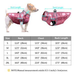 Shiny Dog Jacket