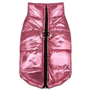Shiny Dog Jacket