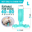 Chewy dog toothbrush toy