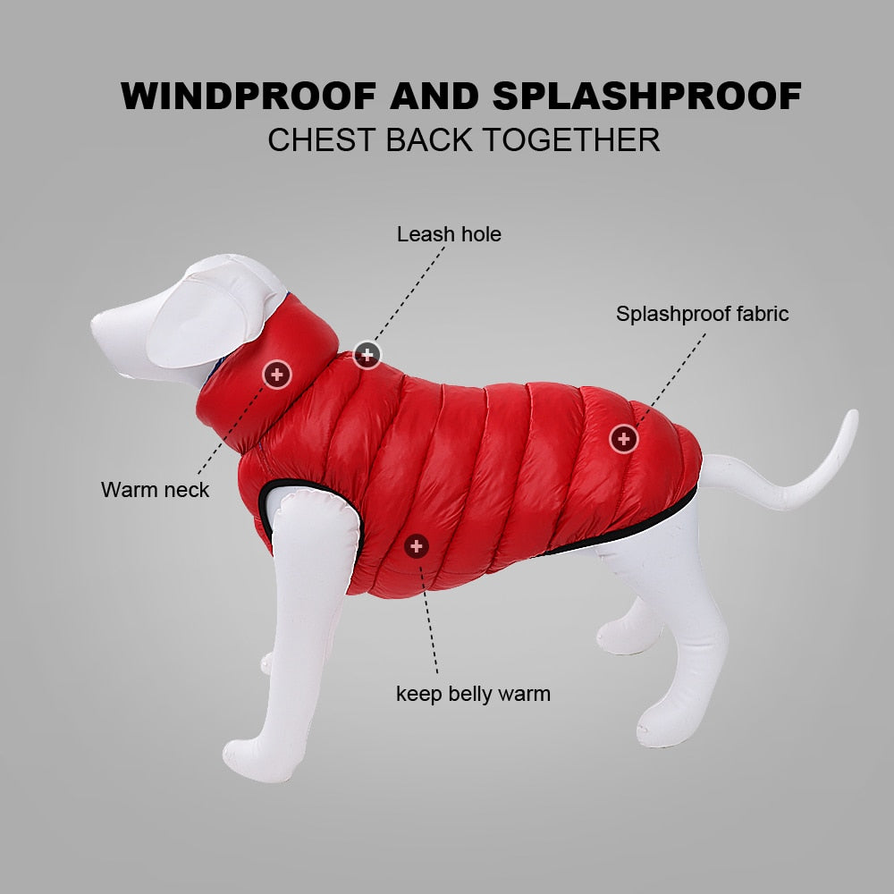 Boxer Dog Winter Jacket