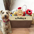 Personalized Dog Toy Box