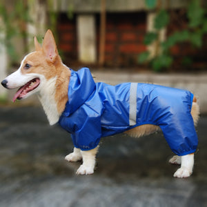 Reflective waterproof dog overall