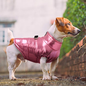 Shiny Dog Jacket