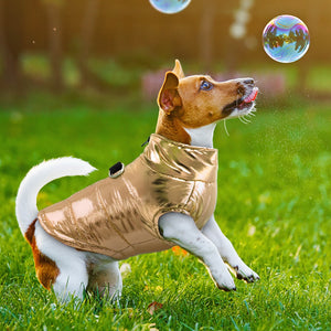 Shiny Dog Jacket