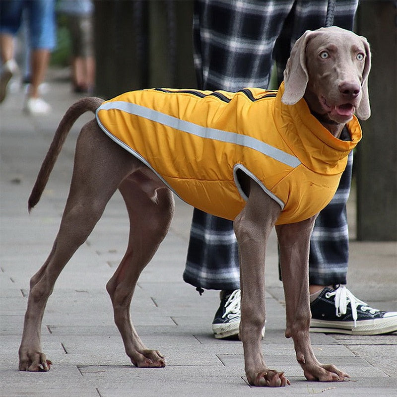 Waterproof Fleece Dog Jacket