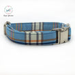 Blue Collar & Leash