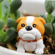 English Bulldog Garden Fairy (10 pieces set)