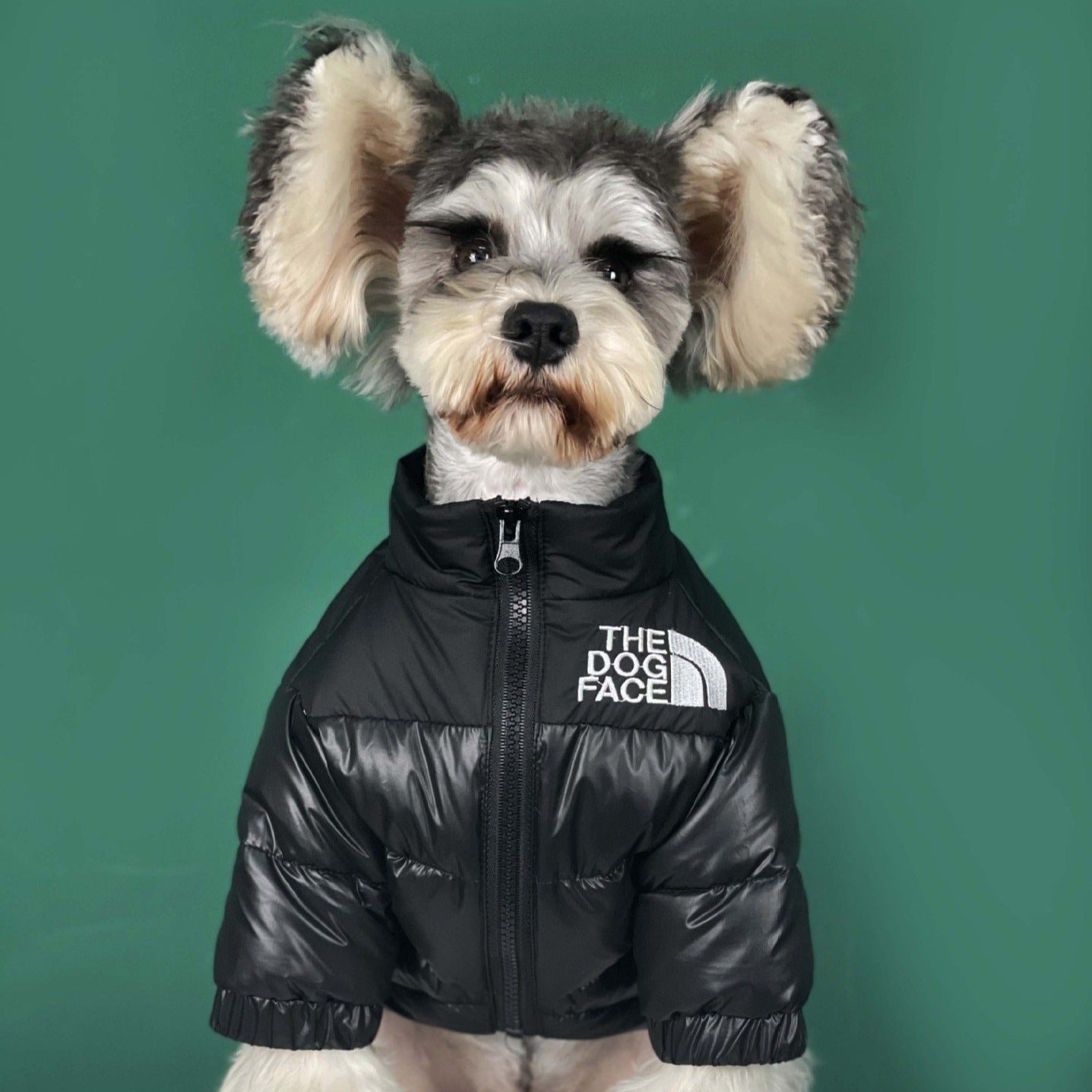 The Dog Face Jacket